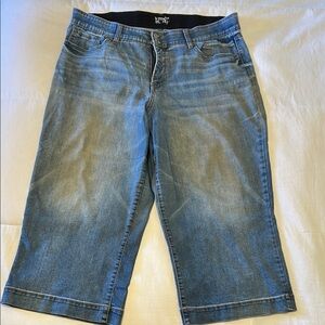 Terra & Sky Blue Ankle Cropped Jeans